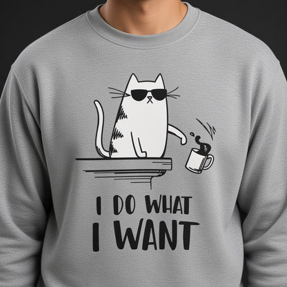Cat I Do What I Want Funny Sweatshirt, Funny Unisex sweatshirt