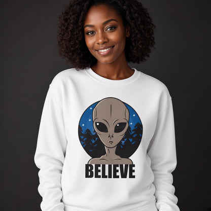 Believe sweatshirt, funny sweatshirt, graphic shirts, unisex tshirt, printed sweatshirt
