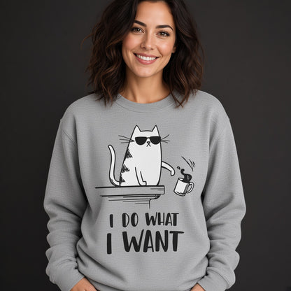Cat I Do What I Want Funny Sweatshirt, Funny Unisex sweatshirt