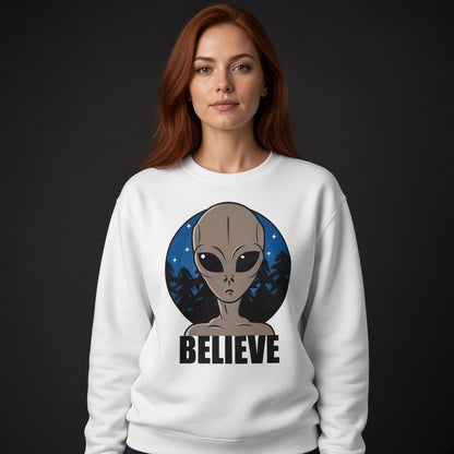 Believe sweatshirt, funny sweatshirt, graphic shirts, unisex tshirt, printed sweatshirt