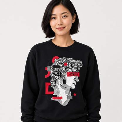 David sweatshirt, funny sweatshirt, graphic shirts, unisex tshirt, printed sweatshirt