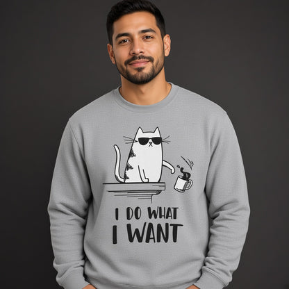 Cat I Do What I Want Funny Sweatshirt, Funny Unisex sweatshirt