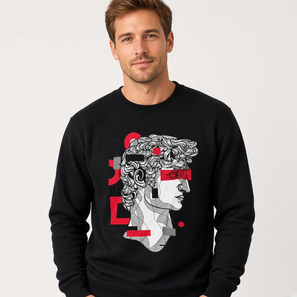 David sweatshirt, funny sweatshirt, graphic shirts, unisex tshirt, printed sweatshirt